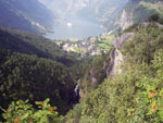 Norge #31