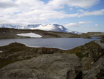 Norge #39