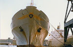 M/S San Joaquin o M/S Aconcagua Valley