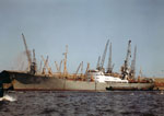 M/S Seattle